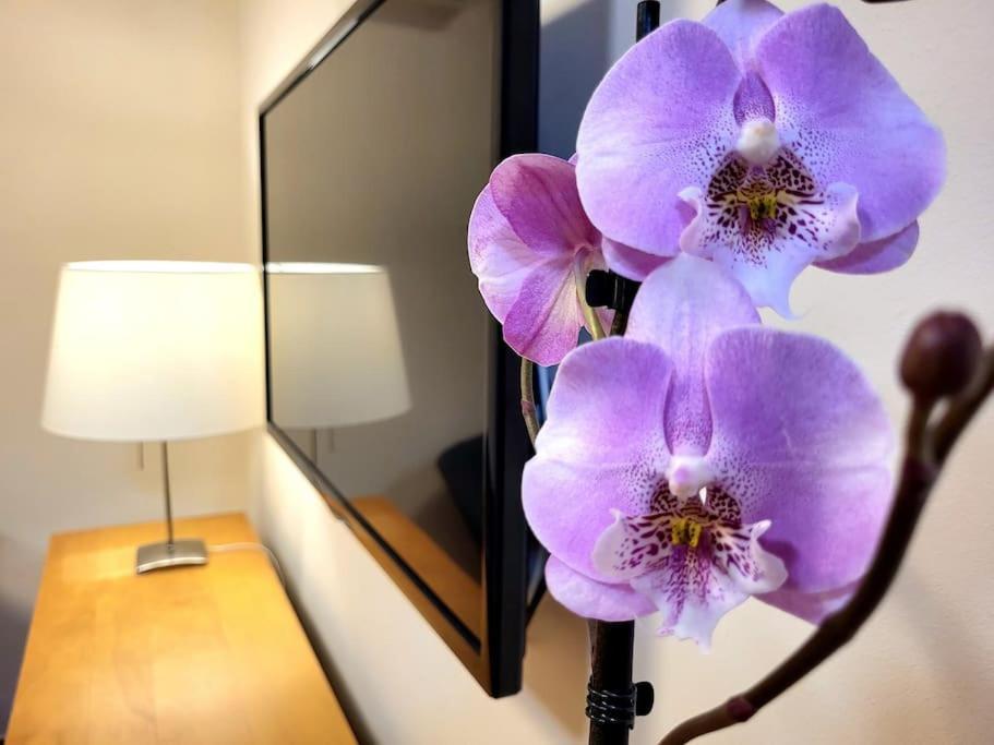 Flamenco, Apartamento Exclusivo De Dos Habitaciones En El Pleno Del Casco Antiguo, Alicante, Playa, Centro Historico, Rambla Εξωτερικό φωτογραφία
